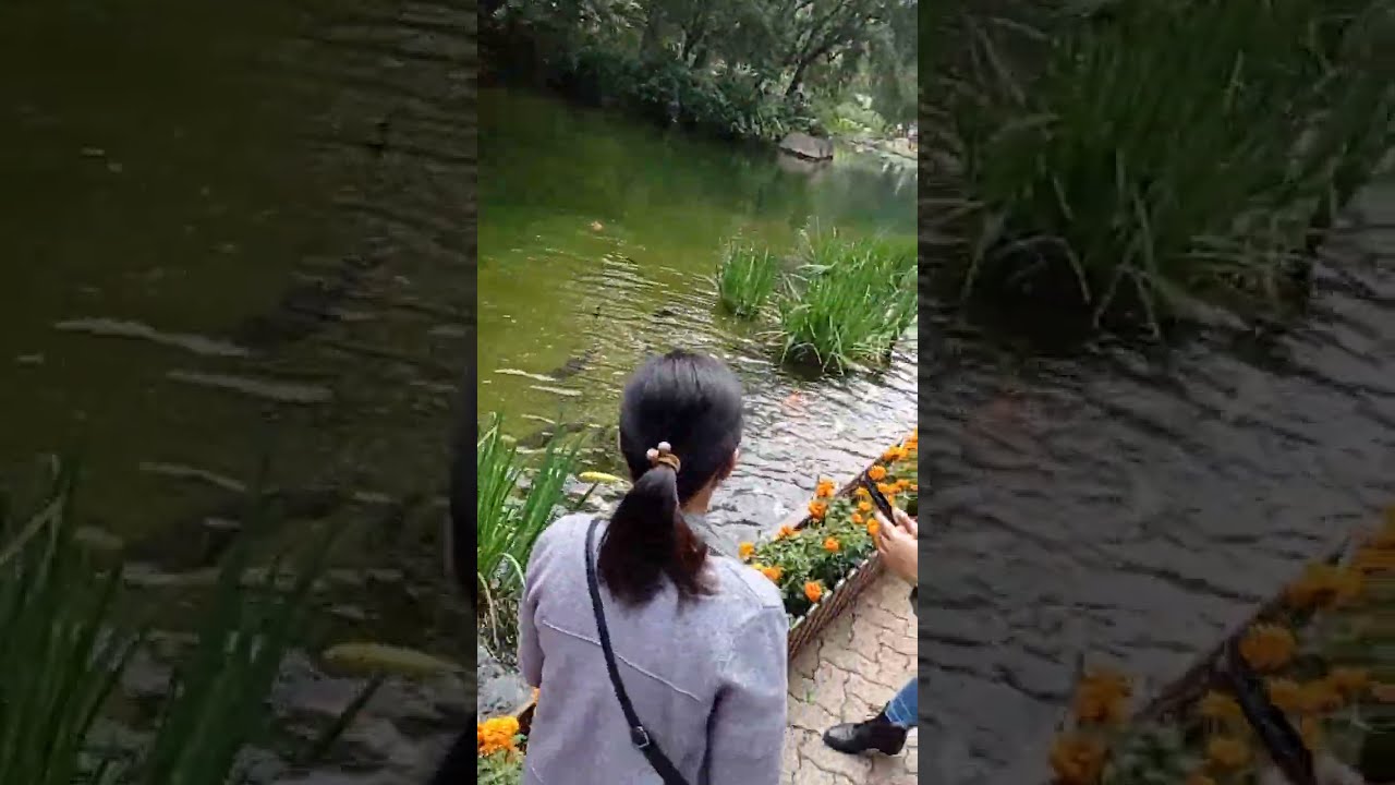 #hongkongpools #fypシ #fypシ゚viral #adventure #adventure #viralvideo #ofwhongkong