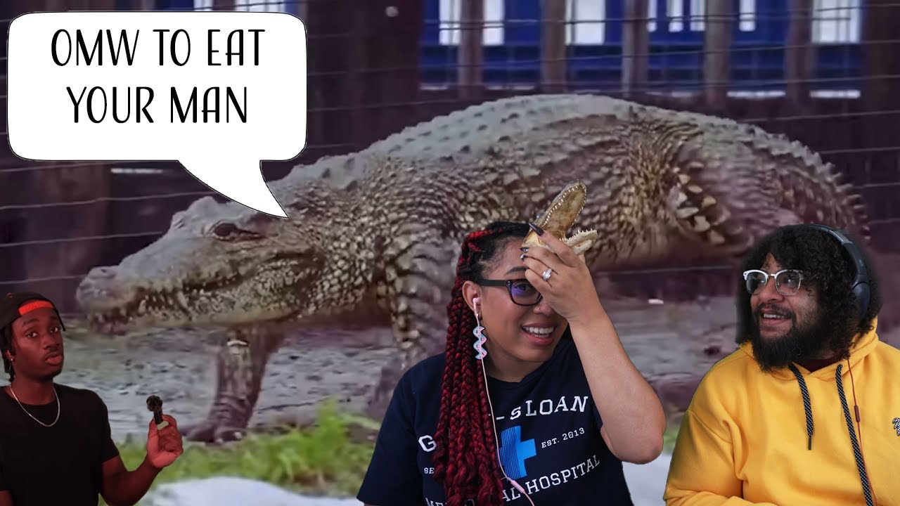 Самый сильный хищник в мире! | Casual Geographic Reaction