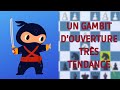 Un gambit douverture  connaitre  aux echecs 