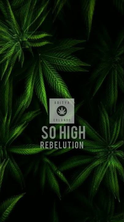 So High - REBELUTION Cover MVVL (Regge Indonesia)