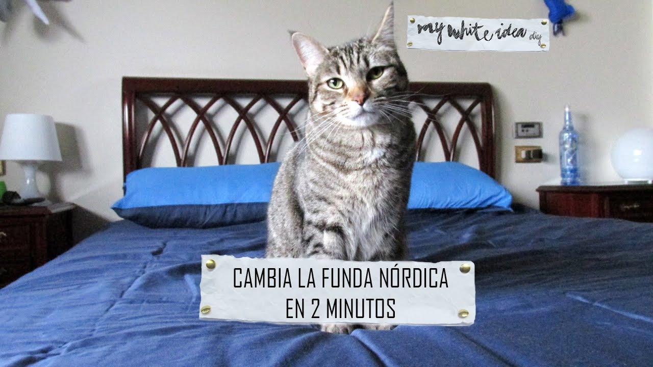 CHANGE DUVET COVER EASY & QUICKLY/ CAMBIA LA FUNDA NÓRDICA RÁPIDO YouTube