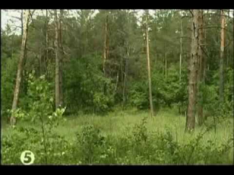 Тест драйв шести видов камуфляжа.flv