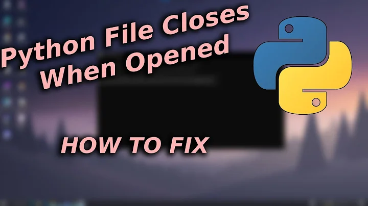 Python File Closes When Opened | How To Fix?