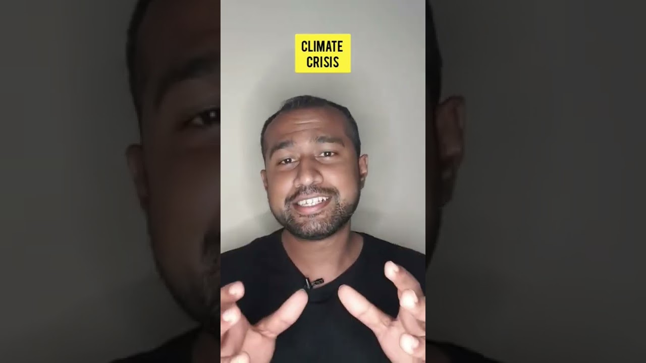 Climate Crisis makes Albatross from Antarctica reach Tamil Nadu 