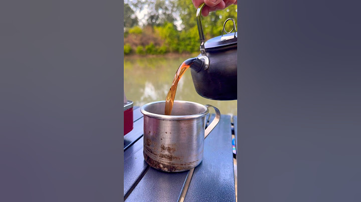 РЫБАЦКИЙ ВАЙБ: НОЧЕВКА У КОСТРА И РЫБАЛКА С КОШКОЙ #рыбалка #fishing #travel #cooking