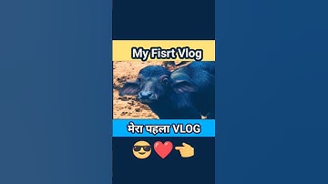 my first vlog || my first vlog 2024