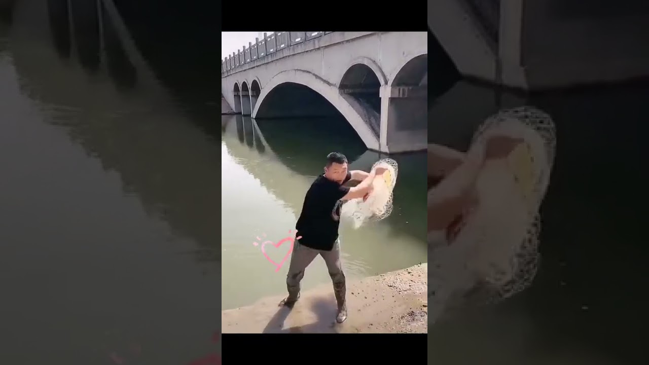 new method cast net throwing  |chinese method | fishing | big cast net.