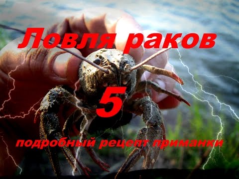 Ловля раков на раколовки 5(Рецепт приманки)Дневник рыболова.