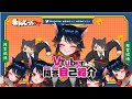 【新人VTuber】VTuber一問一答自己紹介【期待の新星】