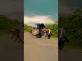 tractor stunt #massey #stunt #kisaan #tractor
