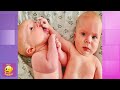 Best Funny Twins Baby Compilation - Best Reactions