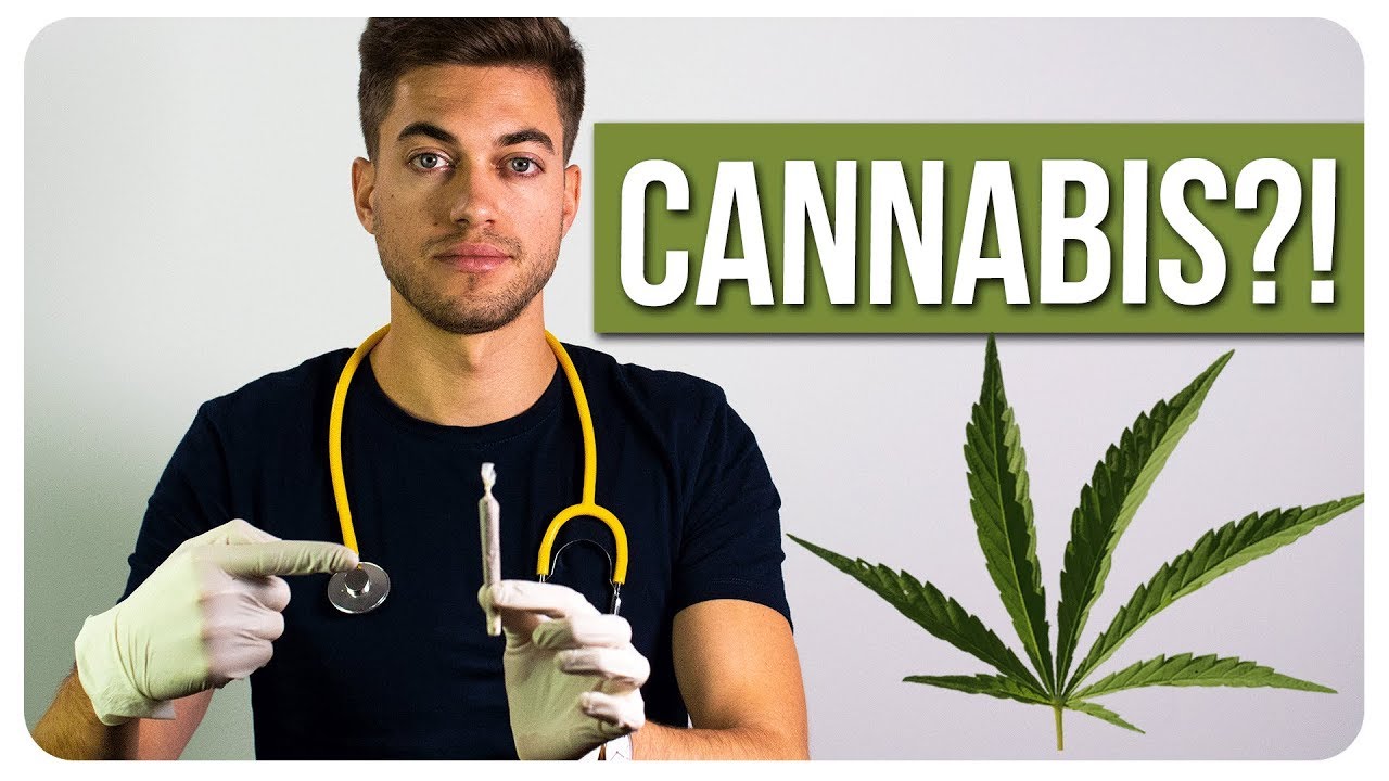 Ist Cannabis eine gefährliche Droge oder ein gutes Heilmittel? | Gesundheit | BR