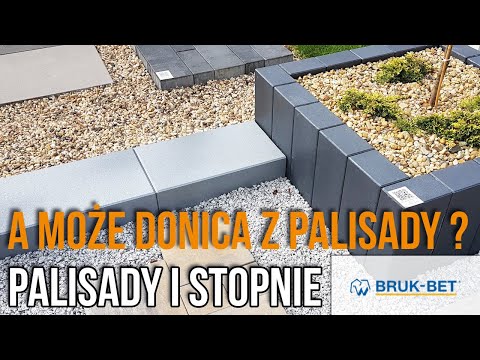 Wideo: Różnica Między Miąższem Palisady A Miąższem Gąbczastym