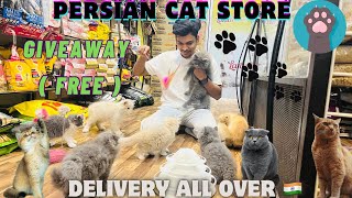 😱Free Persian Cat | 😻Persian Cat Store | All over 🇮🇳 Delivery | Giveaway | Well trained #petshop