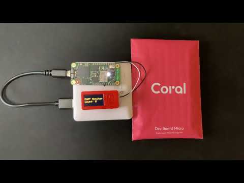 Fart monitoring using Coral Dev Board Micro