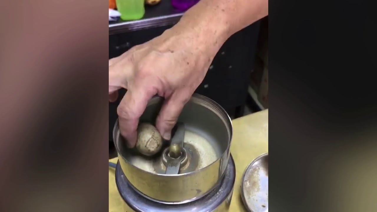 Porcupine Bezoar from Pahang - YouTube
