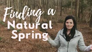 Finding a Natural Spring on our Homestead!
