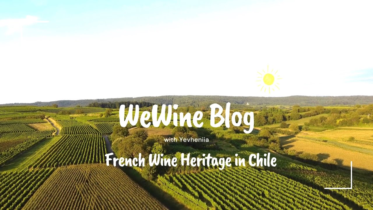 FRENCH WINE HERITAGE IN CHILE | ФРАНЦУЗСКОЕ ВИННОЕ НАСЛЕДИЕ В ЧИЛИ
