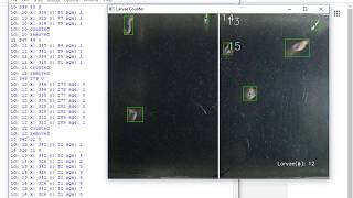 OpenCV Background subtraction for automatic mosquito larvae counting