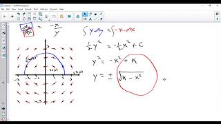 Slope Field HW Question