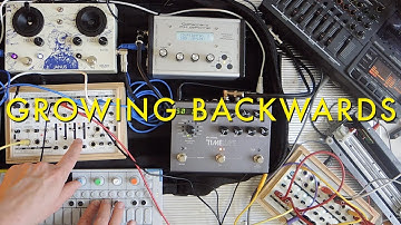 Growing Backwards | Tape Loop, OP1, Field Kit FX
