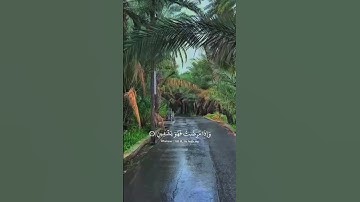 الشيخ عبدالباسط عبدالصمد يبدع بتلاوة مؤثرة #news #اكسبلور #quran #راحة_نفسية #قرآن