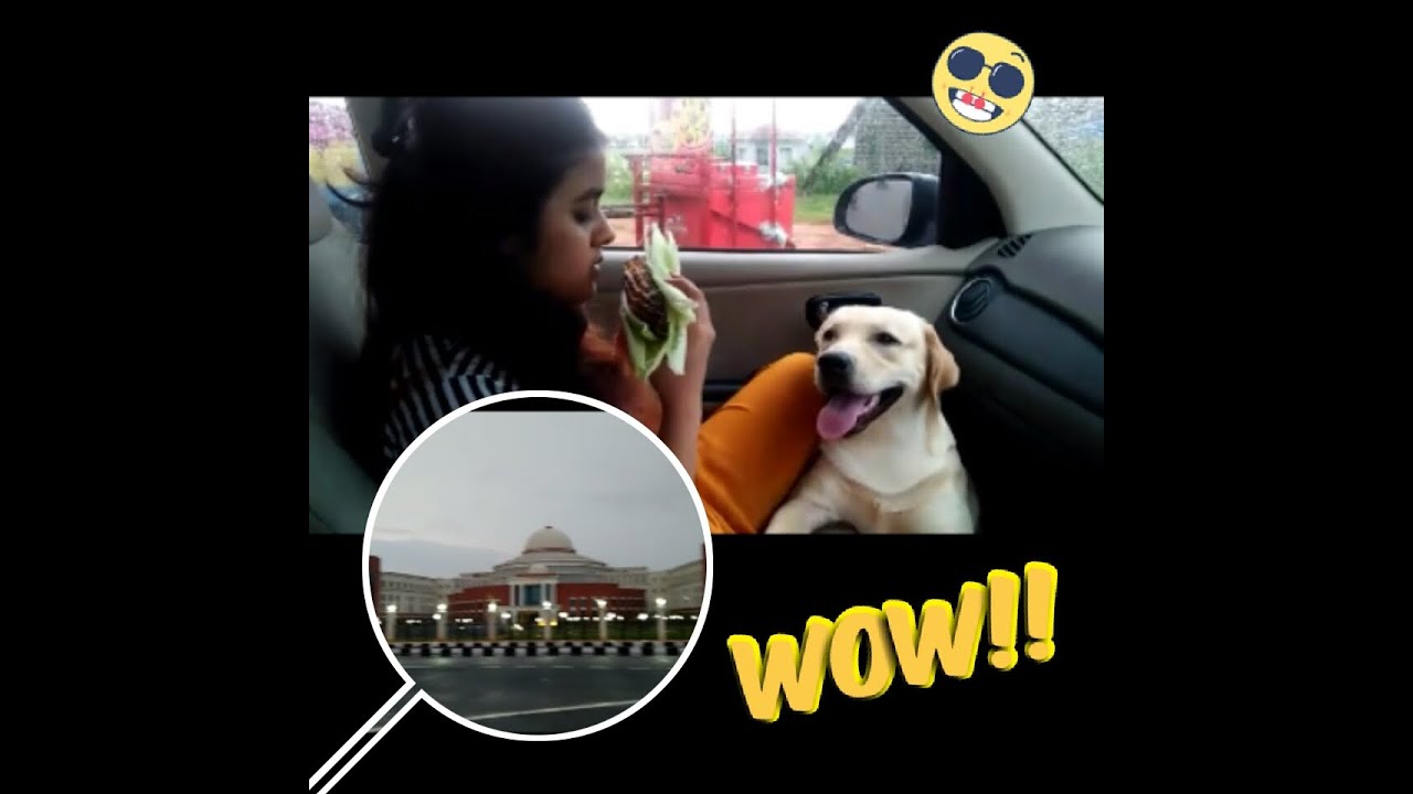 In Love With the Weather || Vlog_4 || #weather #family #memories - YouTube