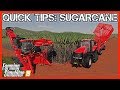 QUICK TIPS: SUGARCANE | Farming Simulator 19