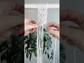 #macrame #macramepattern #macrameideas #macrametutorial #macrameknots #handmade #macrameinspiration