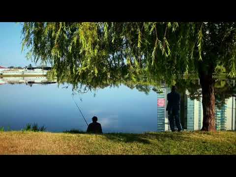 მკვდარი თევზები | 6 მაისის პარკი 2018