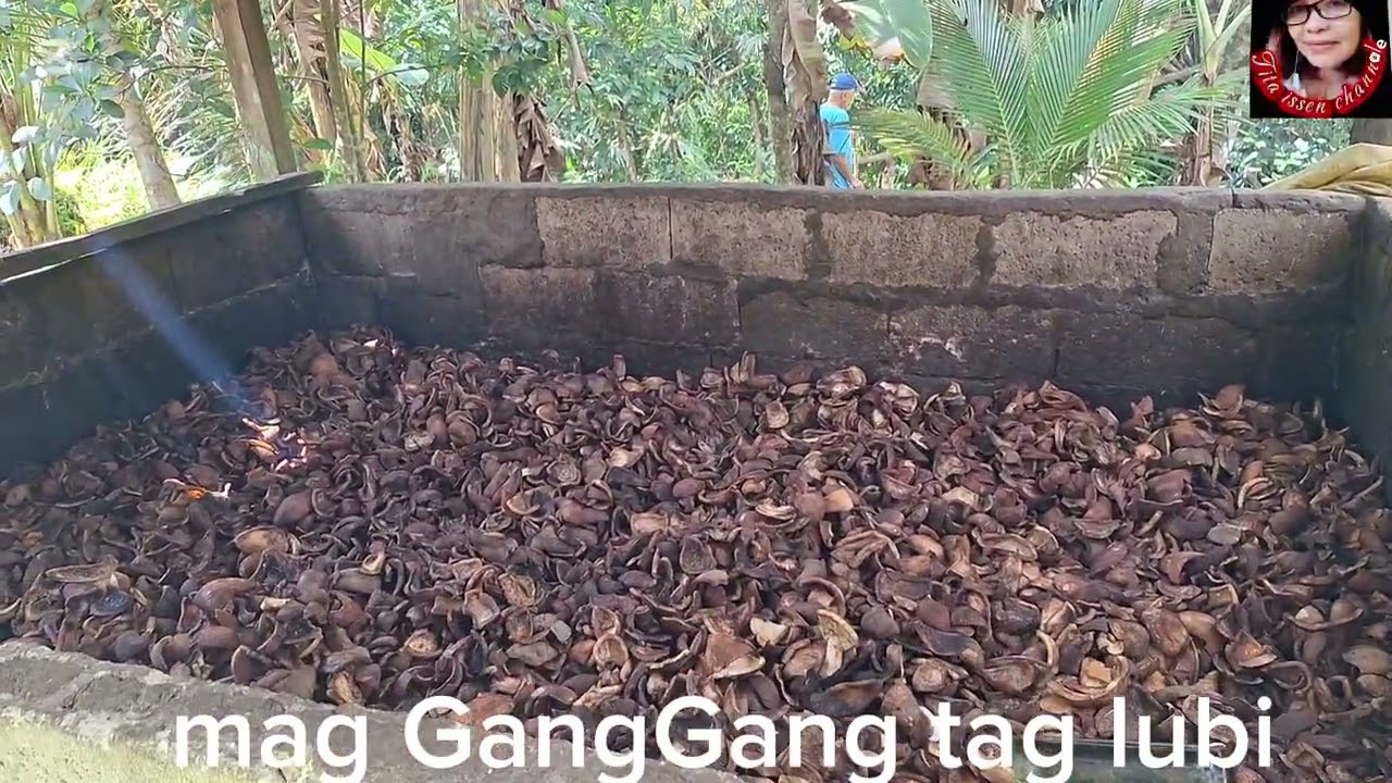 Proceso sa pagluto ng Copra