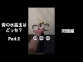 【解答】青の水晶玉は何番でしょう？Part2