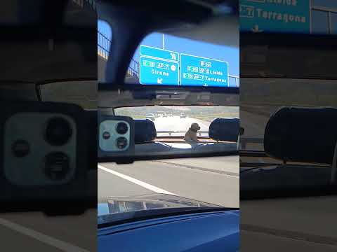 LO QUE NUNCA DEBES FALLAR DE LOS 80 #automobile #auto #car #shortvideo #review #sms #mercedesbenz