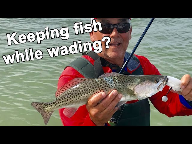 How To Safely Keep Fish While Wade Fishing (And AVOID Sharks) 
