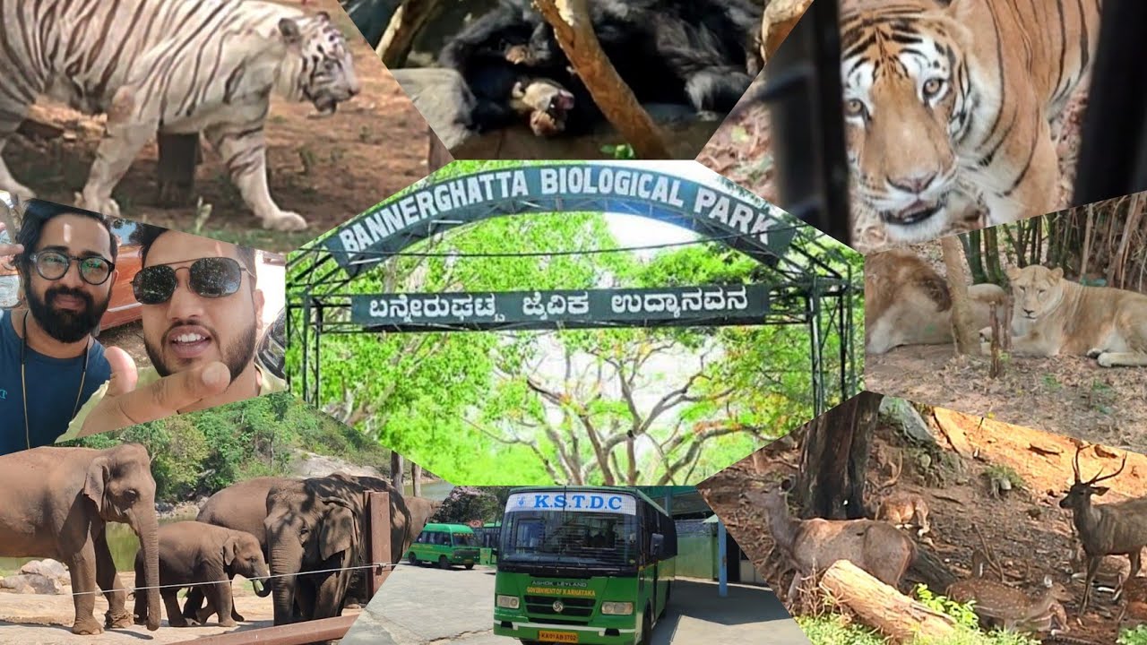 bannerghatta safari bus