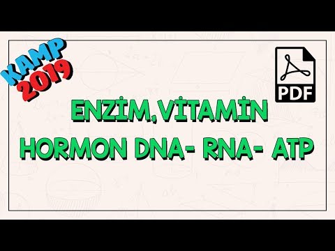 Organik Bileşikler | Enzim, Vitamin, Hormon DNA- RNA - ATP