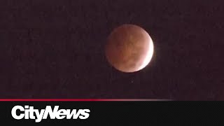 'Blood Moon' to be visible across North America Tuesday morning
