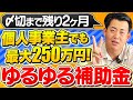 【今すぐ準備】個人事業主でも250万円!小規模事業者持続化補助金の申請〆切まで残り2ヶ月!第14回はここに注意!中小企業診断士がおすすめの依頼業者の探し方も解説