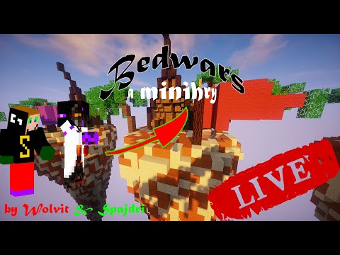 Video Buď se mnou pepega! Minihry w/@Spajdri [Wolvit] - youtube