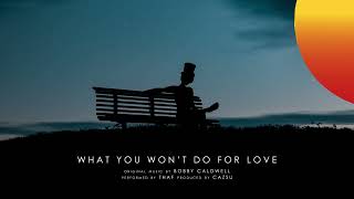 Thaf - What You Won&#39;t Do For Love (Audio)