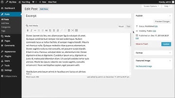 Wordpress The post excerpt