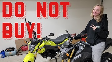 Why Not To Buy A Honda Grom - Problems issues