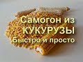 ✅ БУРБОН на кодзи. Быстро и просто. Ставим брагу. Часть 1