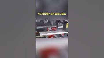 Acepack spout pouch filling machine-Sachet machines-Filling machines