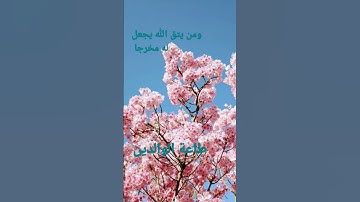 القرآن الكريم/ سورة الحشر القارئ الحاج عامر الكاظمي// اللهم صل وسلم على نبينا محمد ( السلام عليكم )