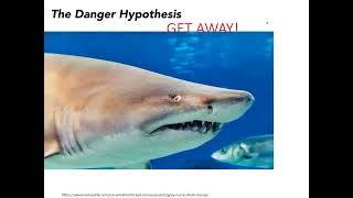 Famous Confirmation Bias and The Scientific Method I: How to Avoid Confirmation Bias Profile