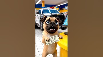 Unboxing & Testing of the Transforming Police Car Robot with Pug Dog | Collector