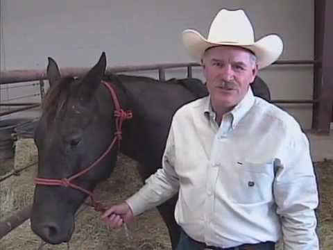 Video: Colic og magesår i hester