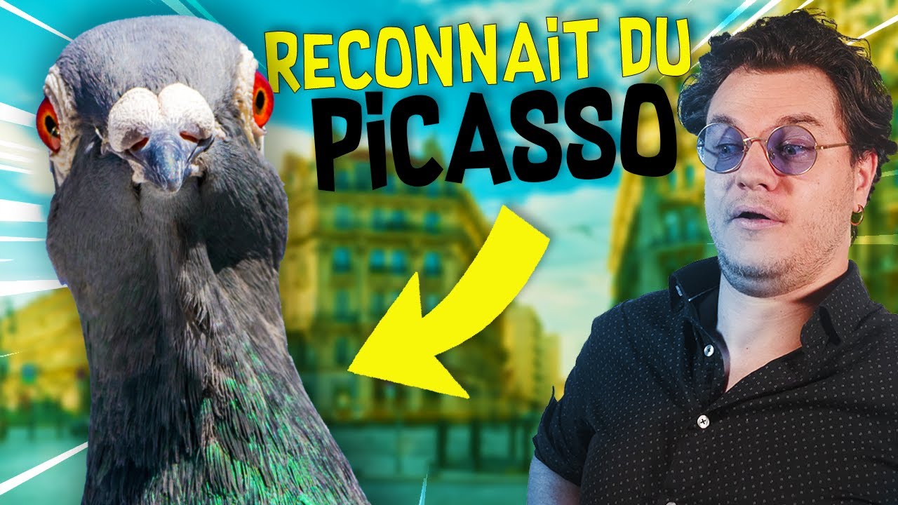 Les Pigeons Sont Plus Malins Que Vous ne le Pensez