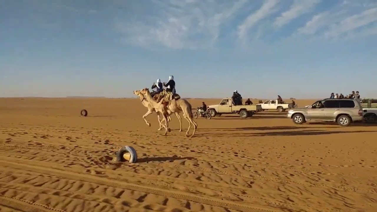 سباق المهاري بلدية إيليزي12.11. 2021